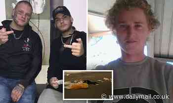 Gold Coast Raymond Harris stabbing: Jye Sebastian Webb-Italia and Jarod James Miller charged murder