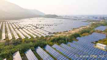 Climate technology investments growing five times faster than average market rates