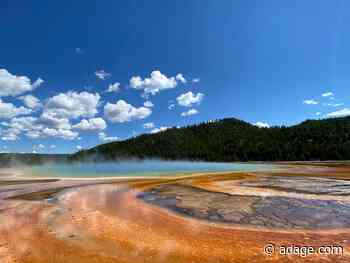 Why an agency exec behind P&amp;G's 'Like a Girl' took a job with a food startup