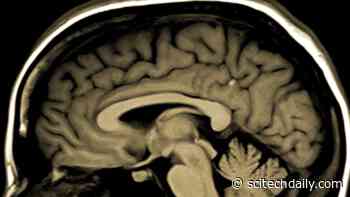 Long-Term Neurological Consequences of COVID-19: The “Silent Wave”