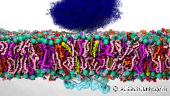 Scientists Discover Sugar Molecules in SARS-CoV-2 Coronavirus Spike Protein Play Active Role in Infection