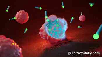 The Web of Death: New Method to Fight Cancer With Molecular Fibers