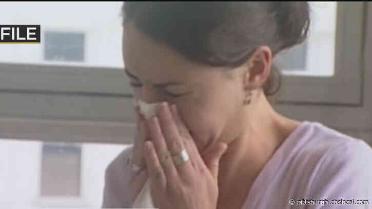 Is It The Flu, Allergies, Or COVID-19? Knowing The Symptoms And What To Do