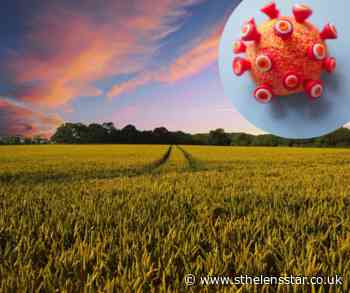 St Helens Labour urged to delay Local Plan in light of coronavirus pandemic - St Helens Star