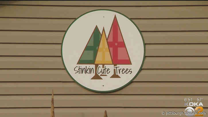 ‘Stinkin Cute Trees’ Ready To Showcase Their Innovative Business