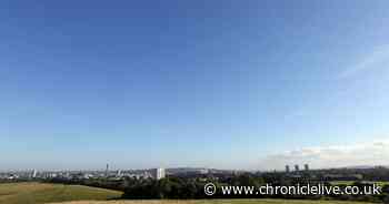 Hundreds of trees set to be planted on Newcastle's Town Moor
