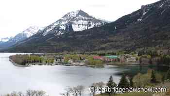 RCMP seeking suspect in Waterton bear spray incident - Lethbridge News Now