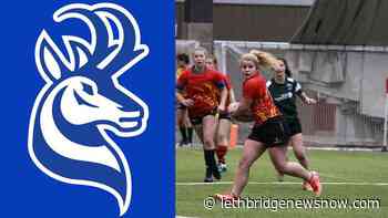 New addition for Pronghorn women's rugby team - Lethbridge News Now