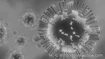 AHS confirms 150 new COVID cases in Alberta - Lethbridge News Now