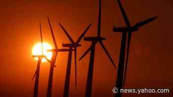 Coronavirus: Climate action cannot be another Covid victim - PM