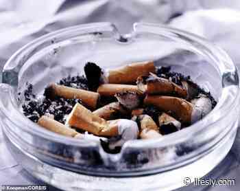 The Hammersmith and Fulham council prohibits all staff from smoking at their desks while working from home - Lifesly.com