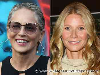 Sharon Stone, Gwyneth Paltrow settle feud over cocktails - Wallaceburg Courier Press