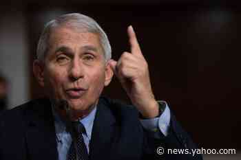 'You misconstrue that, Senator': Fauci tells Sen. Rand Paul he has the facts wrong on COVID-19