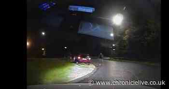 Suspected hare poachers tried to daze police officers with high powered lights