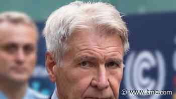 Harrison Ford in the Clear Now After FAA Investigates Runway Crossing