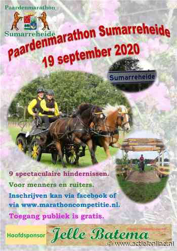Activiteit: Paardenmarathon Sumarreheide - actiefonline.nl