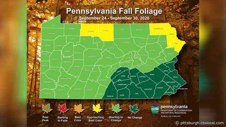 Pennsylvania Could See ‘Perhaps The Best Fall Foliage Display In Years’ This Season