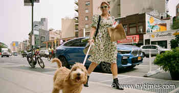 Busy Philipps’s Week: Coffee, ‘Little Women’ and Keeping It Together