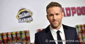 Why Hollywood stars Ryan Reynolds and Rob McElhenney want to buy Wrexham FC