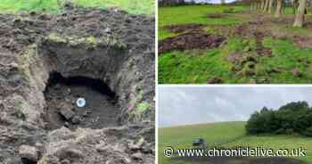 Warning over 'horrendous' six-foot-deep holes on Town Moor