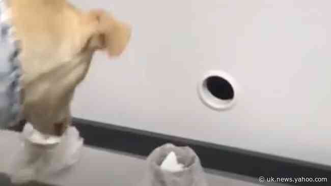 COVID-19 Sniffer Dogs Tested at Helsinki Airport