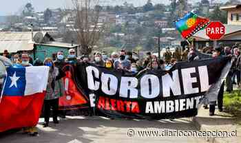 Ministro de Energía suspendió visita a Coronel por manifestación ambiental - Diario Concepción