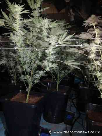 Woman, 30, appears in court after cannabis farm discovery - The Bolton News