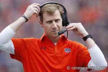 Rhett Lashlee shares Gus Malzahn coaching tree with FSU interim coaches - Canes Warning