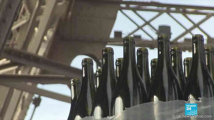 ‘Elegance and finesse’: Eiffel Tower wine cellar bears fruit as merlot debuts