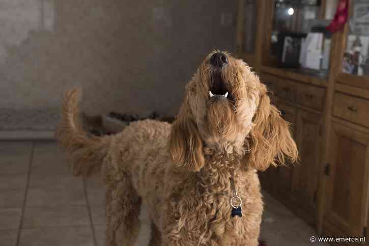 Akkoord sociale media met adverteerders over aanpak haatberichten