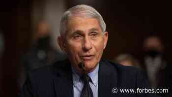 Dr. Fauci's 'Schooling' Of Rand Paul Draws Cheers From Medical Community - Forbes