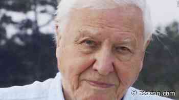 David Attenborough joined Instagram. Four hours later he had 1 million followers