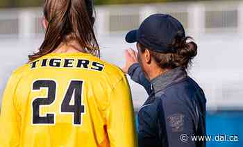 Coaching in the face of a pandemic - Dal News - Dal News