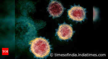 Highly effective coronavirus antibodies identified, may lead to passive Covid-19 vaccine - Times of India