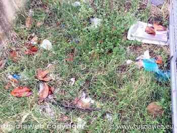 "Rifiuti, erba alta, fango e assembramenti all'ingresso della scuola Alceste Grandori" - Tuscia Web