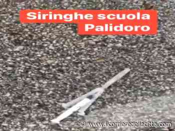 Palidoro, siringhe tra l’erba e sui marciapiedi nei pressi della scuola primaria e dell’infanzia: scoppia la polemica (VIDEO) - Il Corriere della Città