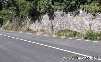 "Da Zenna in Valcuvia, passando per Luino: troppa erba e piante sulla statale 394" - Luino Notizie