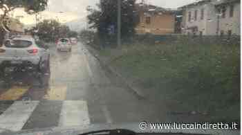 Erba alta sul marciapiede, Zappia (Lega): "Pericolo per i ragazzi delle medie" - LuccaInDiretta