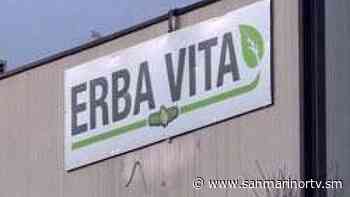 Erba Vita in mostra al Si Fest di Savignano - San Marino Rtv