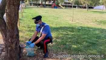 Spacciavano "erba" e coca nella piazza di Montecavolo, arrestati due pusher - La Gazzetta di Reggio