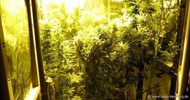 Polizei stellt über 2 Kilo Marihuana in Haßfurt sicher