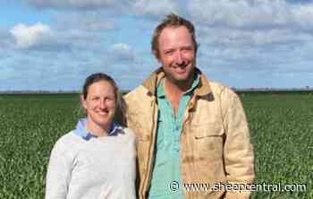 NSW sheep operations join business coaching program - Sheep Central
