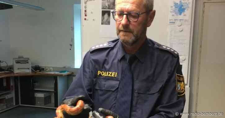 Schlange auf Komposthaufen löst Panik in Haßfurt aus