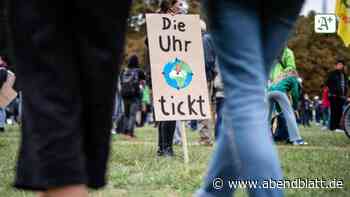 Demonstrationen: Mehrere Tausend bei Fridays for Future-Protesten in Kiel