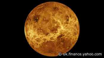 Back to Venus: Upstart company wants to beat NASA in search for life