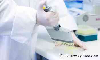 UK to become WHO's largest state donor with 30% funding increase
