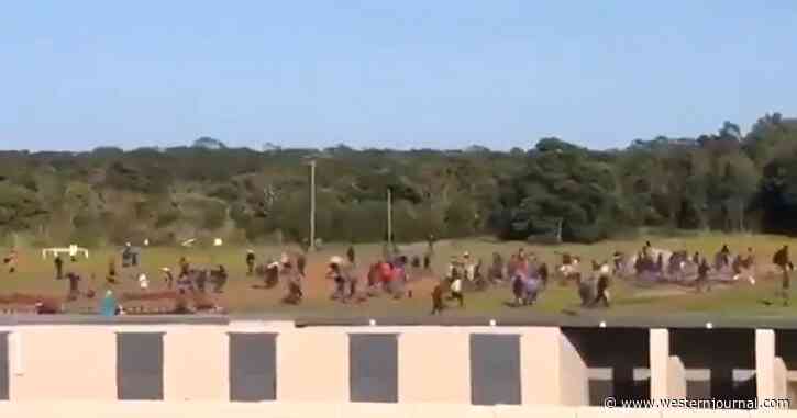 ‘Absolute Savagery’ as Violent Protest Descends on Racetrack, Leaves One Horse Dead, Others Broken and Brutalized