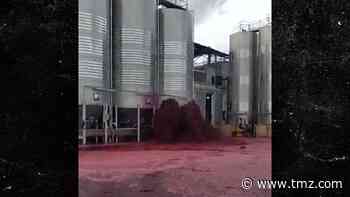 Damaged Container Spills 50,000 Liters of Red Wine in Spain