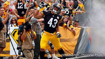 Troy Polamalu, James Farrior Among 5 Members For Steelers 2020 Hall Of Honor Class
