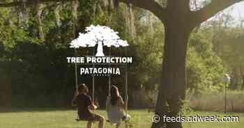 This Beer Will Replace Your Favorite Tree If a Hurricane Knocks It Down